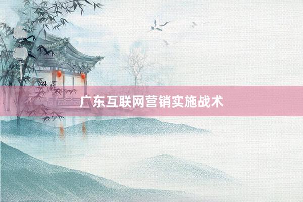 广东互联网营销实施战术