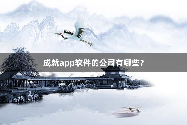 成就app软件的公司有哪些？
