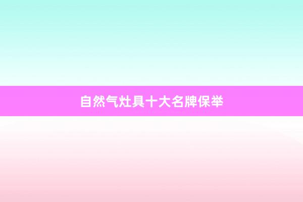 自然气灶具十大名牌保举