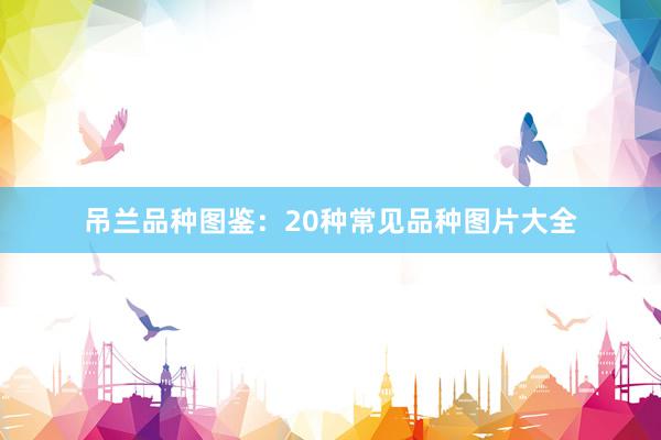 吊兰品种图鉴：20种常见品种图片大全